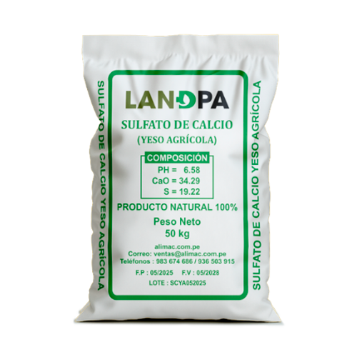 Producto